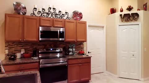 Snapshot of sam_papithebarber chatting on November 15, 9:28 am sam_papithebarber online show from November 15, 9:28 am