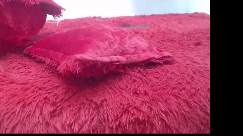 samael_leviatan online show from March 8, 5:01 pm