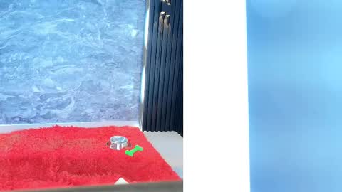 Samantha online show from February 11, 2:02 pm