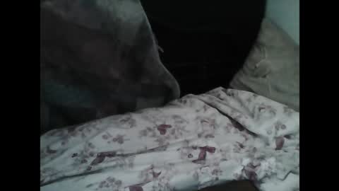 Samedisamedi1nouveau online show from March 7, 10:12 am