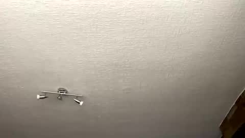 Snapshot of samegee chatting on October 1, 7:25 am samegee online show from October 1, 7:25 am