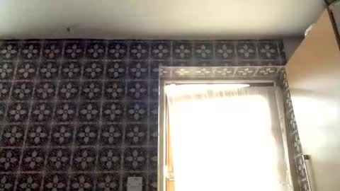 Snapshot of samegee chatting on October 16, 7:20 am samegee online show from October 16, 7:20 am