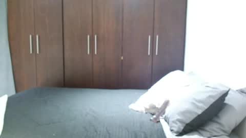 Snapshot of santti_torres chatting on June 7, 4:27 am Santy Torres online show from June 7, 4:27 am