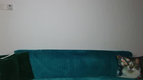 Im Sara I am happy to be here  online show from April 30, 6:09 am