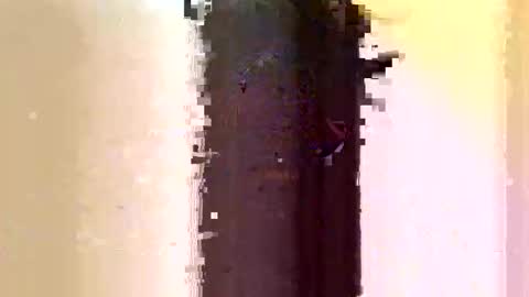 Snapshot of sara_muscle chatting on June 7, 3:10 am Sara online show from June 7, 3:10 am