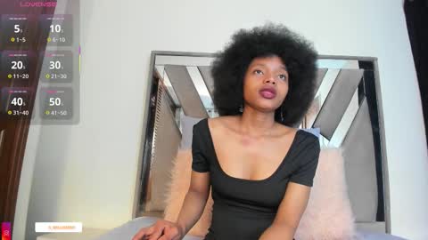 SARA 730 A 200 PM  online show from November 25, 1:33 pm