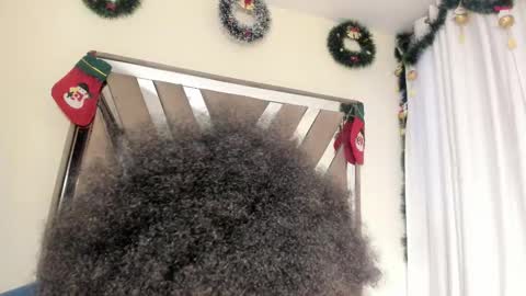 SARA 730 A 200 PM  online show from December 20, 1:40 pm