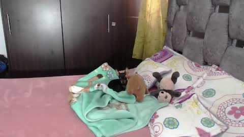 Snapshot of sarahott_1 chatting on June 4, 7:09 pm Lia online show from June 4, 7:09 pm