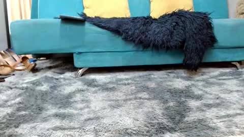 sarita_klein online show from March 17, 6:11 pm