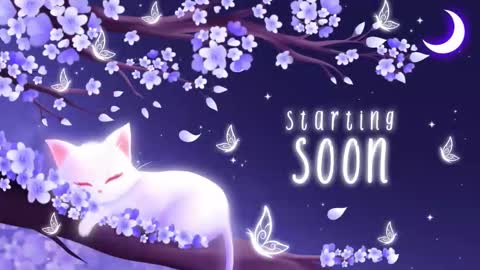 Sassy Sami Kittyn online show from December 2, 6:08 am