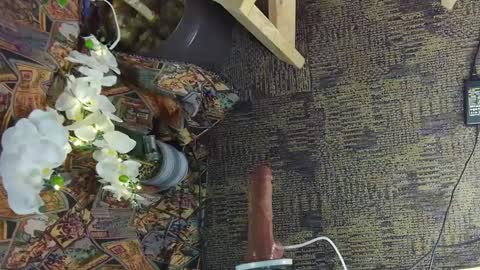 sassylatin45 online show from March 2, 1:47 am