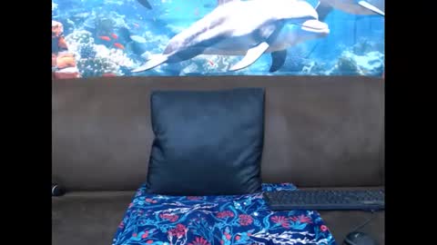 sasyylissaa online show from March 3, 7:39 pm