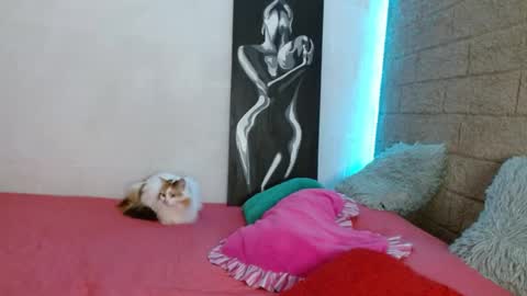 Snapshot of sativa_29 chatting on December 13, 4:05 pm Sativa online show from December 13, 4:05 pm