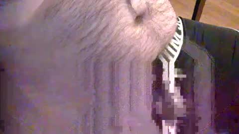 Snapshot of sato58264 chatting on May 18, 6:36 pm sato58264 online show from May 18, 6:36 pm