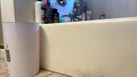 Snapshot of saucy_latino chatting on March 1, 11:40 pm ElVergone online show from March 1, 11:40 pm