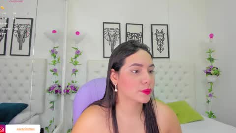 Isa online show from December 14, 11:07 am