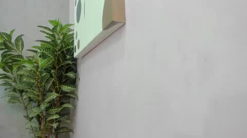 Snapshot of scarlett646 chatting on December 2, 3:12 am Scarlett 3 online show from December 2, 3:12 am