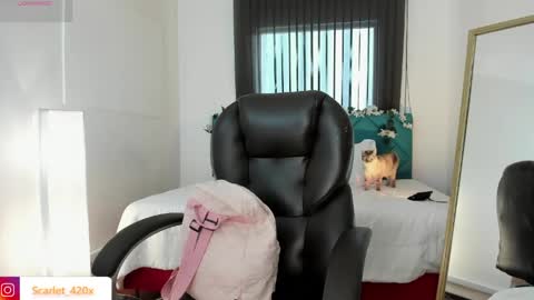 Snapshot of scarlett__cooper__ chatting on May 18, 12:00 pm Scarlett online show from May 18, 12:00 pm