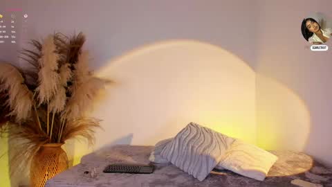 Snapshot of scarlett_keitt chatting on June 3, 2:33 pm scarlet online show from June 3, 2:33 pm
