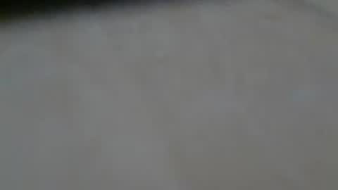 Snapshot of schwaermer1 chatting on June 18, 9:25 am schwaermer1 online show from June 18, 9:25 am