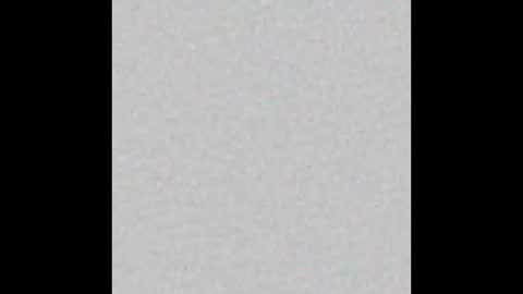 Scolw  online show from December 19, 12:01 pm