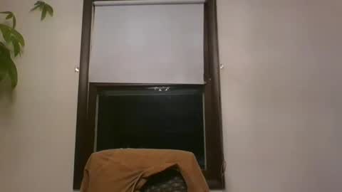 scottpbi52 online show from December 31, 10:37 am