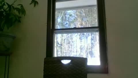 scottpbi52 online show from January 22, 2:14 pm