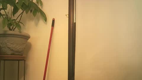 scottpbi52 online show from September 25, 8:34 pm