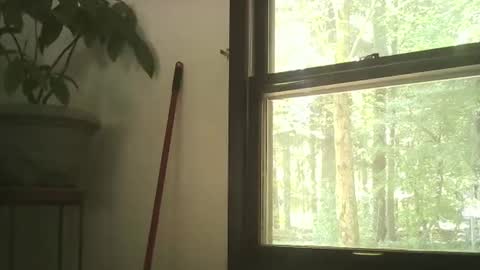 scottpbi52 online show from September 28, 5:29 pm