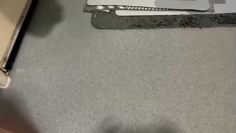 scottyc48 online show from December 19, 7:48 am