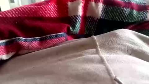 scotycar0408 online show from March 16, 8:07 am