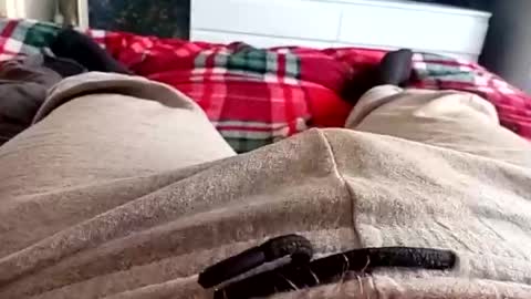 scotycar0408 online show from March 17, 10:18 am