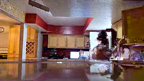 screwnutandbolte online show from December 5, 10:35 am