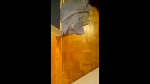 Snapshot of scruples99273286 chatting on November 8, 8:18 pm scruples99273286 online show from November 8, 8:18 pm