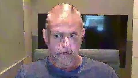 seargents online show from November 11, 12:38 pm