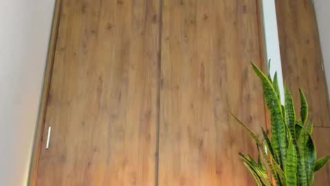 Snapshot of sebas_w01 chatting on February 3, 1:26 am sebastian online show from February 3, 1:26 am