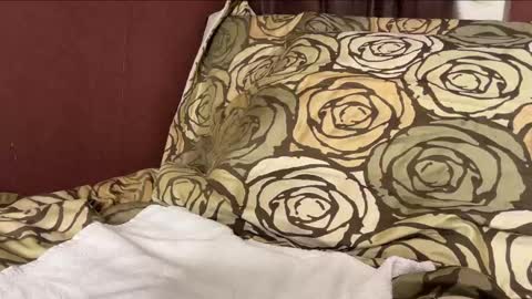 Hennriette    and Sebastian     online show from December 29, 6:27 pm