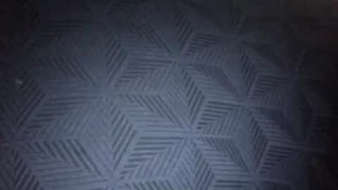 Sunny online show from January 31, 8:51 pm