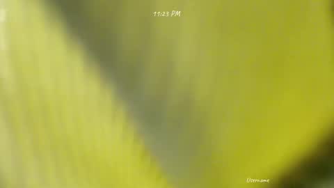 Snapshot of seduce_me_oldman chatting on March 9, 3:16 pm seduce_me_oldman online show from March 9, 3:16 pm