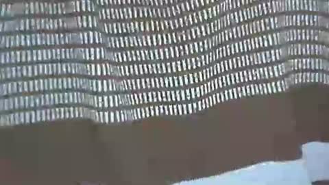 selim selim online show from November 29, 11:41 pm