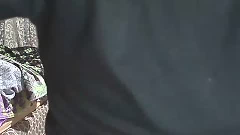 selim selim online show from April 5, 10:40 pm