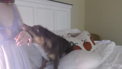 Snapshot of selxo chatting on October 20, 1:33 pm Sel online show from October 20, 1:33 pm