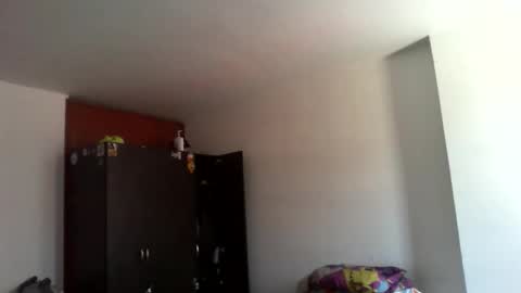 semental24cm online show from December 17, 1:39 pm