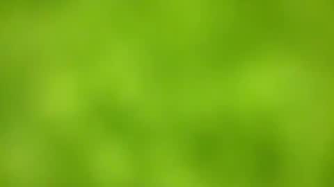 sens3439 online show from November 24, 8:36 am