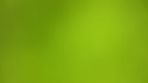 sens3439 online show from December 2, 8:08 am