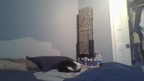 sensualcock4you online show from December 20, 2:24 pm