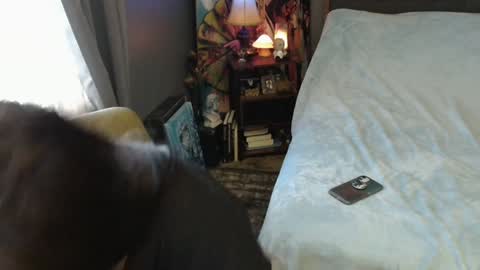 Snapshot of sentfrmheaven chatting on February 2, 4:00 pm Tara online show from February 2, 4:00 pm