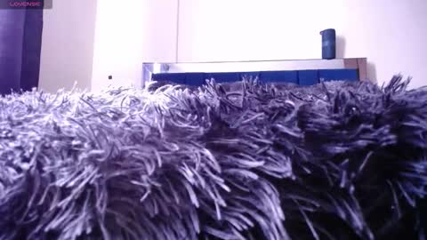 seth online show from November 19, 1:33 pm