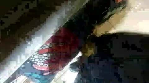 Snapshot of seus1149 chatting on July 23, 7:06 am seus1149 online show from July 23, 7:06 am