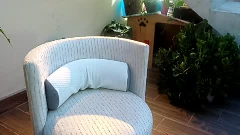 Snapshot of sexander221 chatting on June 24, 12:31 am SeXander online show from June 24, 12:31 am